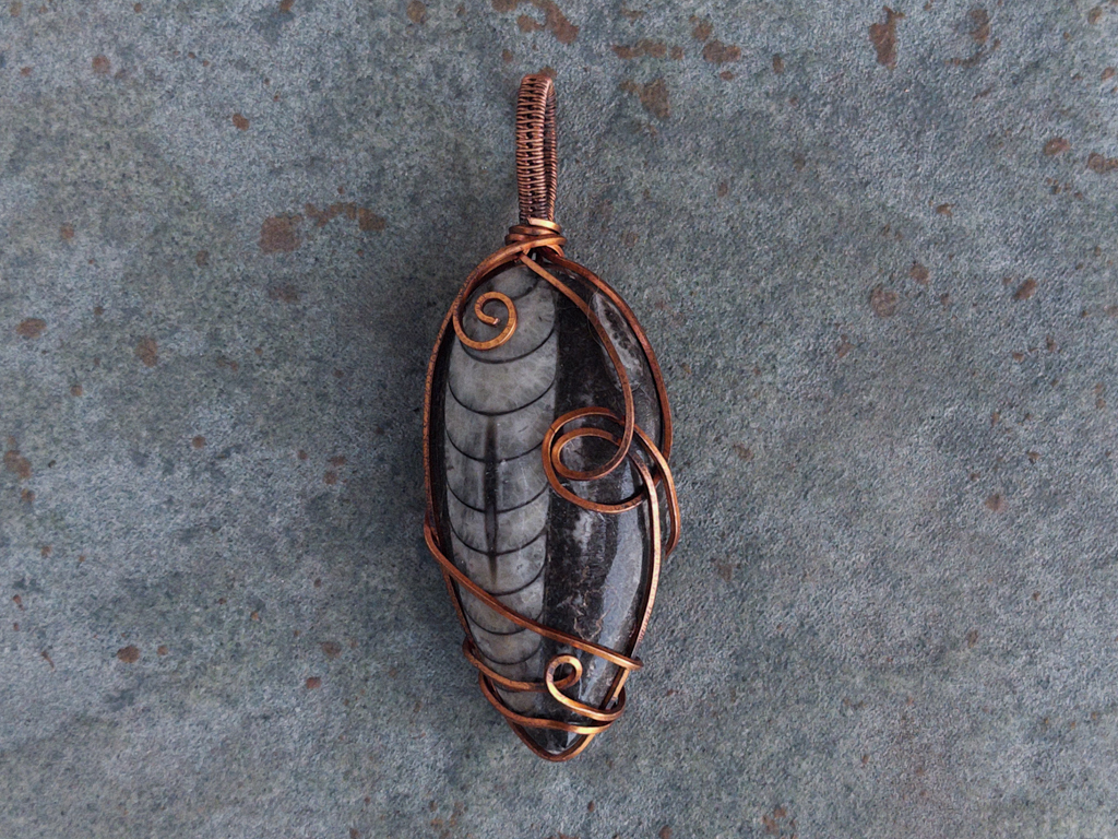 Ancient Orthoceras Pendant