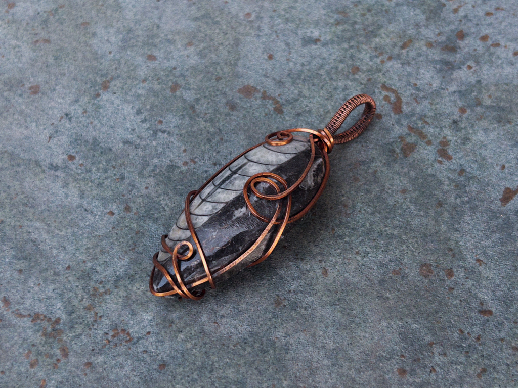 Ancient Orthoceras Pendant