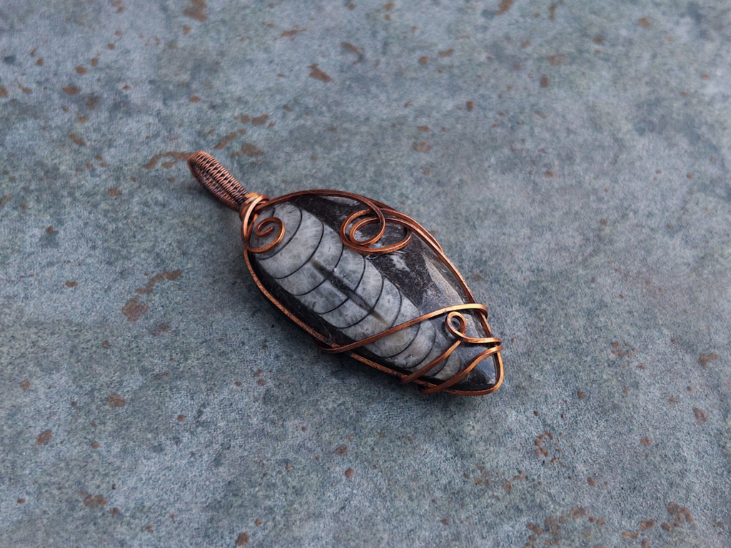 Ancient Orthoceras Pendant