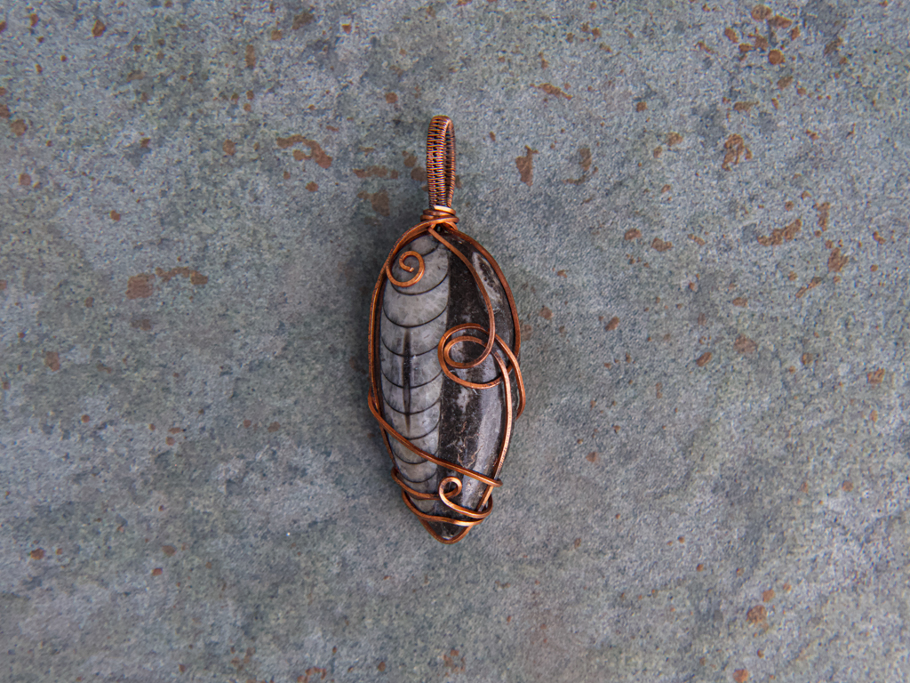 Ancient Orthoceras Pendant
