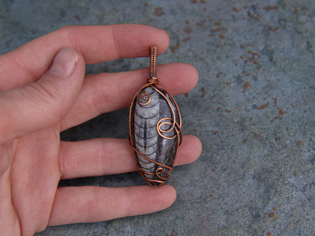 Ancient Orthoceras Pendant