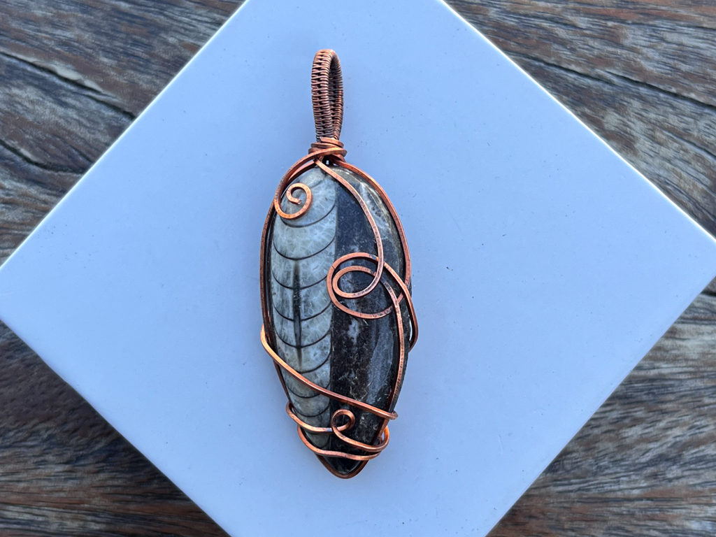 Ancient Orthoceras Pendant
