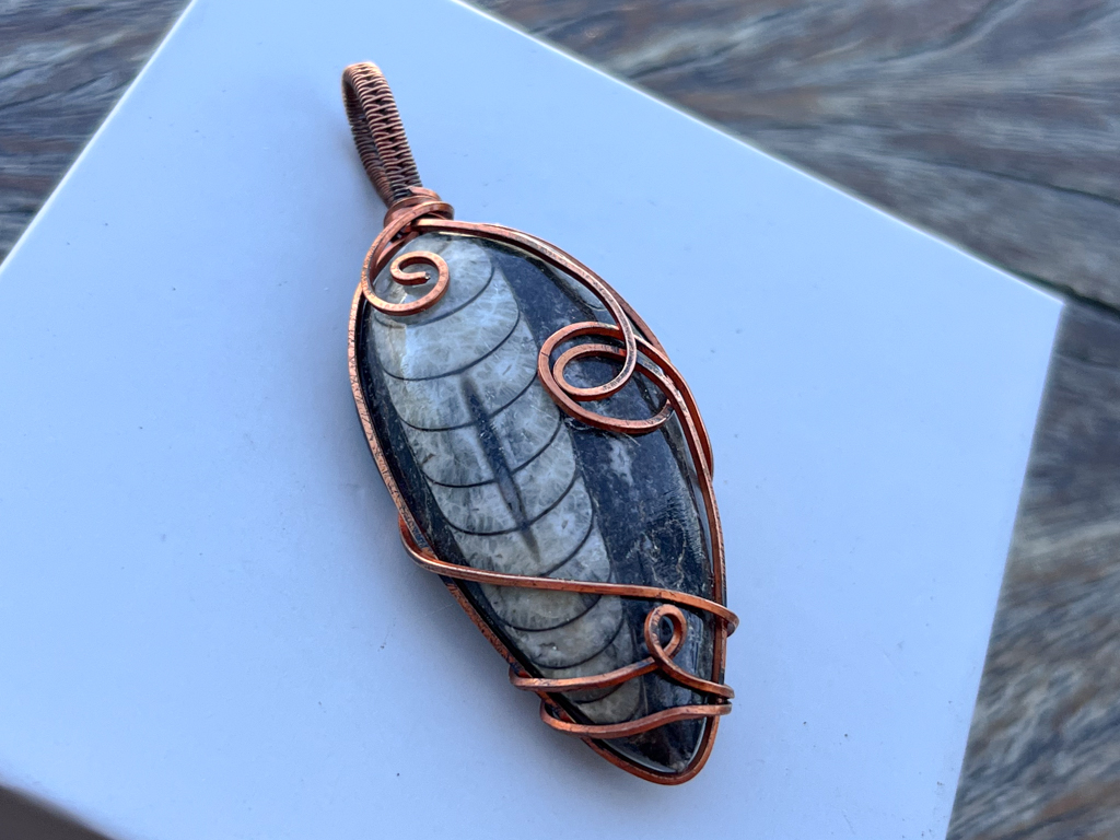 Ancient Orthoceras Pendant